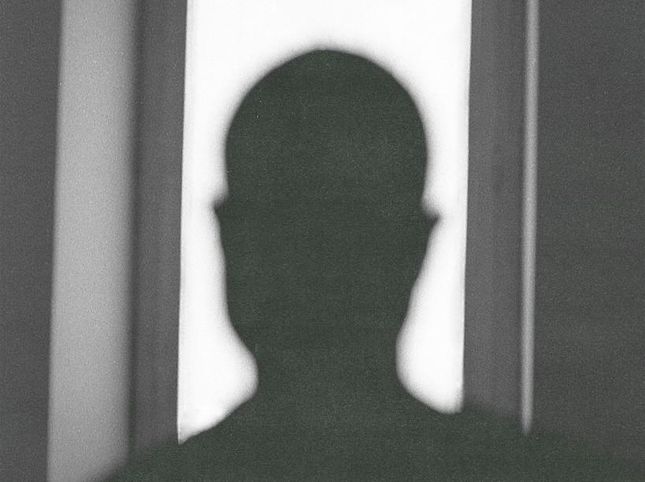 Dogs, the first performance after nine years: the video