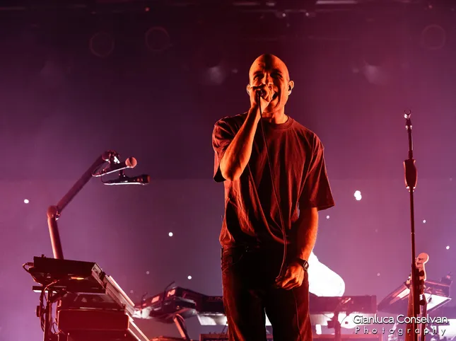 From the Dogs to the Grateful Dead: songs for Boxing Day