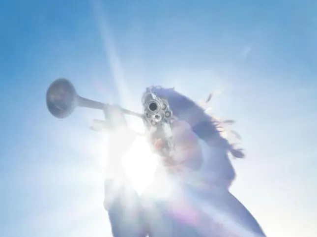 Geese vs. Goose: the (strange) rock battle according to Billy Corgan