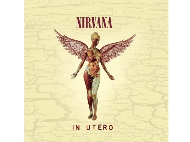 Nirvana: the probable link between "Heart-Shaped Box" and Kim Gordon