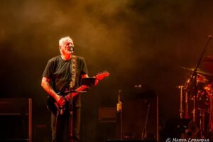 David Gilmour has a problem with bats