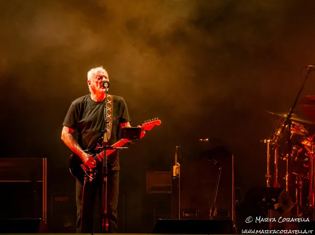 David Gilmour has a problem with bats