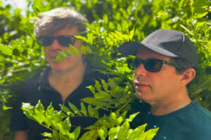 Emak Bakia return with “U”, their first novelty in twenty-three years
